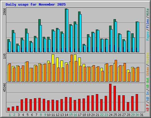 Daily usage for November 2025