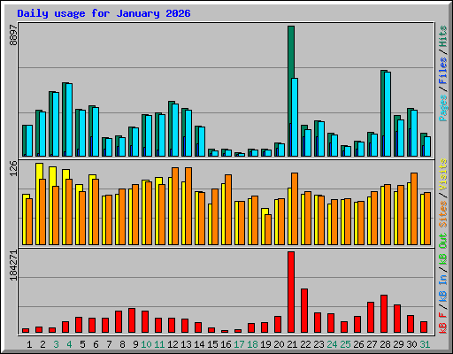 Daily usage for January 2026