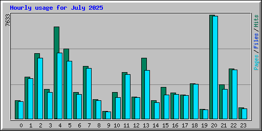 Hourly usage for July 2025