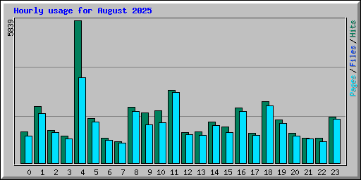 Hourly usage for August 2025