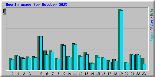 Hourly usage for October 2025