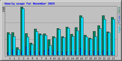 Hourly usage for November 2025