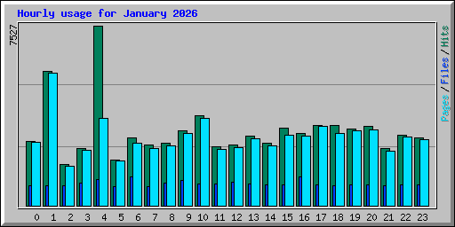 Hourly usage for January 2026