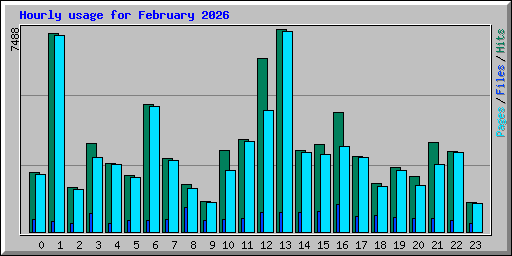 Hourly usage for February 2026